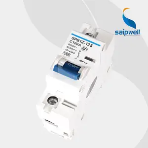 SAIP/SAIPWELL High Quality New 1 Pole 125/220V 100A Waterproof Electrical DC MCB miniature Circuit Breaker