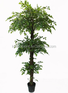 2017 Venta Caliente de Plata de La Decoración de Interior <span class=keywords><strong>Bonsai</strong></span> Ficus Artificiales - Product Image 6