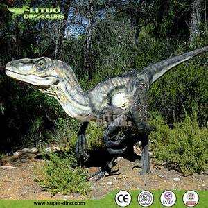 Velociraptor Animatronic d'intérieur réaliste en silicone pour <span class=keywords><strong>l</strong></span>'utilisation du parc <span class=keywords><strong>de</strong></span> trampoline <span class=keywords><strong>de</strong></span> jardin éducatif d'aéroport - Product Image 3