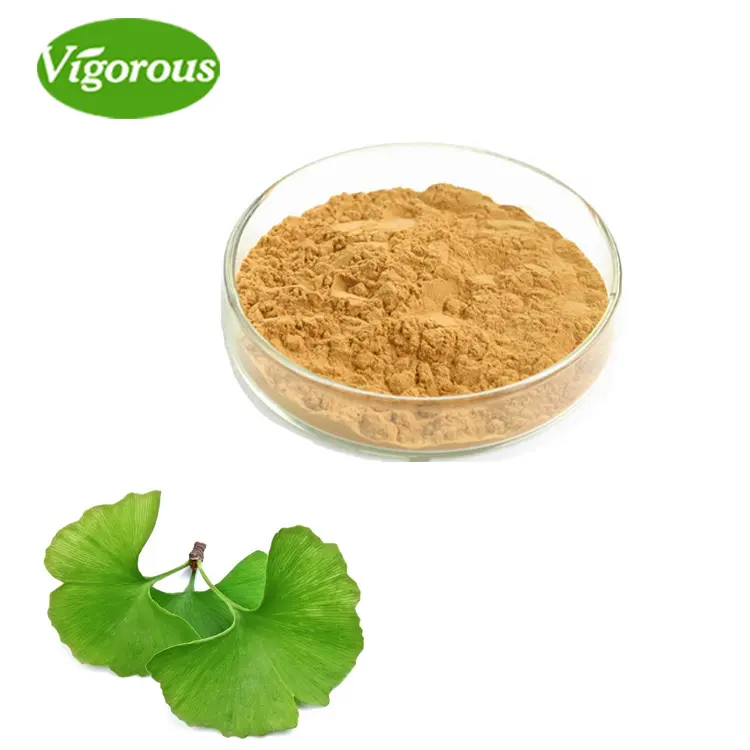 Fornitura di fabbrica estratto di Ginkgo Biloba