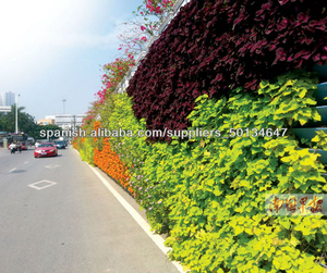 Importer des produits bon marché <span class=keywords><strong>de</strong></span> la chine mur vertical jardin <span class=keywords><strong>pot</strong></span> <span class=keywords><strong>de</strong></span> <span class=keywords><strong>fleurs</strong></span> - Product Image 6