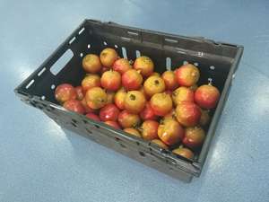 야채 포장 과일 포장 플라스틱 toy 적재 할 수 및 둥지 중첩 가능한 및 스택 플라스틱 crate 도매 쯔 상자 basket - Product Image 4