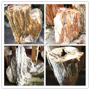 Hot vente de haute qualité naturelle bois pétrifié fossiles - Product Image 3