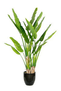 Banana <span class=keywords><strong>bonsai</strong></span> árbol artificial falso árbol de hoja <span class=keywords><strong>perenne</strong></span> plantas ornamentales - Product Image 2