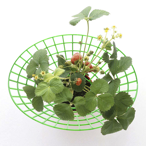 Supports de culture de fraises 27 cm 2026, supports de plantes amovibles, loin du sol, empêchent les fraises de pourrir par temps de pluie - Product Image 1