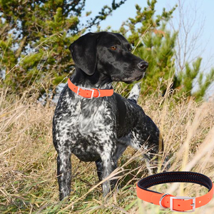 Neopreno impermeable acolchado naranja suave PVC perro de <span class=keywords><strong>Collar</strong></span> de Polyl de correas de Nylon relleno <span class=keywords><strong>Collar</strong></span> de perro y correa - Product Image 6