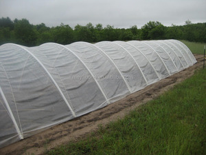 Anti afida - Product Image 4