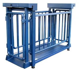 accurate high precision stable pig platform scales weighing machine