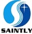Taian Saintly Glass Co., Ltd. logo