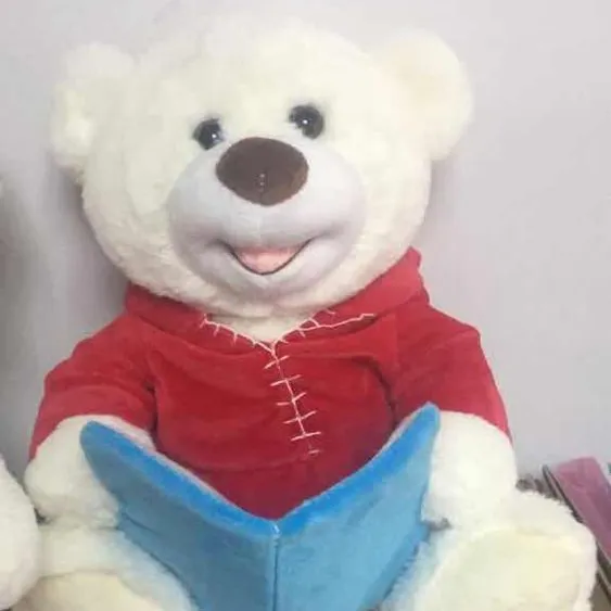 प्यारा 10 ''कहानी-टेलर भालू बैठे एच आलीशान भरवां कहानी टेडी भालू शर्ट और पुस्तक के साथ
