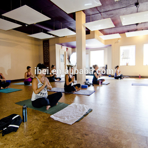 Paneles Calefactores Eléctricos de Infrarrojos Lejanos <span class=keywords><strong>para</strong></span> Techo/Pared, <span class=keywords><strong>para</strong></span> Estudio de Yoga y Pilates - Product Image 1