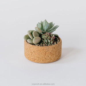 Gift Ideas for Tweens: 5 Thoughtful Picks Under ¥240