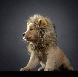 Disfraz de León para Mascotas, <span class=keywords><strong>Peluca</strong></span> <span class=keywords><strong>con</strong></span> Orejas para <span class=keywords><strong>Perros</strong></span> y Gatos, Disfraz de Halloween, Accesorios para Mascotas, Ropa para <span class=keywords><strong>Perros</strong></span> - Product Image 5