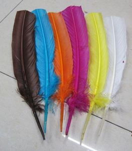 Hermosa pluma <span class=keywords><strong>de</strong></span> pavo - Product Image 1