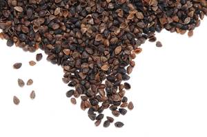 100% coton biologique Yoga méditation Kissen kapok <span class=keywords><strong>traversin</strong></span> matelas coussin accessoires autres sports et produits de divertissement - Product Image 6