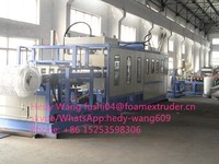 Máquina automática de fabricación de contenedores de alimentos de espuma PS, placa termocal desechable, salida de fábrica