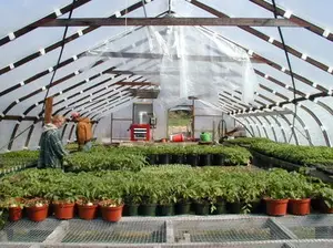 Portable Greenhouse Supplies/Factory Wholesale Garden And Agricultural Virgin HDPE Sun Shade Net