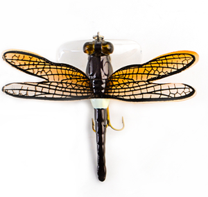 Topwater 잠자리 곤충 낚시 유혹 인공 미끼 7.5cm 6g 트 Wobblers 생생한 하드 미끼 - Product Image 4
