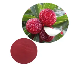 Fourniture d'usine de haute qualité 100% Myrica Rubra/wax berry / Red Bayberry poudre