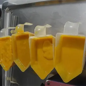 Good fruit mango juicer production line from China