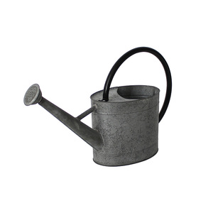 Cheap Garden Custom Metal Watering Can Wholesale