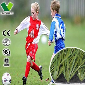 Belle artificielle herbe pour Football G005 - Product Image 6