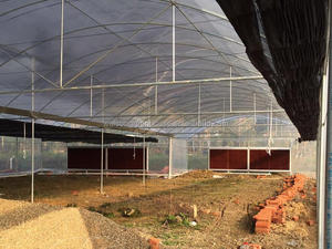 ไฟเบอร์กลาสไก่เพิง Polytunnel ไก่เสริมพลาสติกเรือนกระจก - Product Image 3