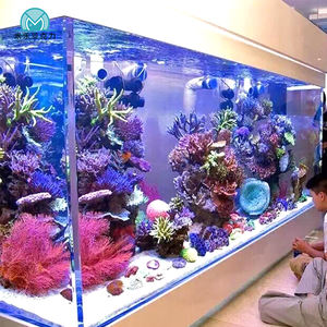 Fabrikant Professionele Aangepaste Hoge Kwaliteit Decoratie Live Dolfijn Hotel Vis Aquarium - Product Image 5