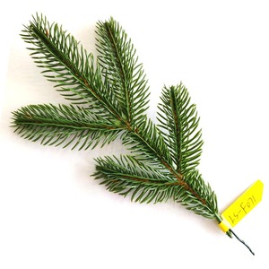 Ramas navideñas Greentree | Ramas <span class=keywords><strong>de</strong></span> plástico <span class=keywords><strong>de</strong></span> pino a la venta - Product Image 5