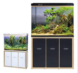 Ac Serie Gebogen Tank Systeem Arowana Aquarium Met Top Filtratie Of Sump Tank