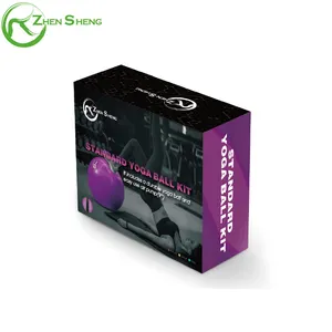 Exercise Ball And Pump Zhensheng Customized Yoga Exercise Swiss Ball Pump Exercise/Fitness Balls/Plastic Fitness Ball