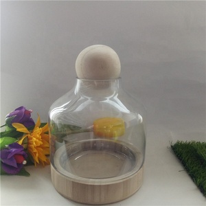 Home Office Desktop Decor Klares dänisches Glas <span class=keywords><strong>Cloche</strong></span> <span class=keywords><strong>Terrarium</strong></span> mit Kugel stopper und Holz sockel - Product Image 2