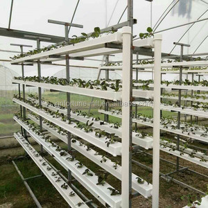 La agricultura de invernadero hidroponía planta solución nutritiva tubería - Product Image 2