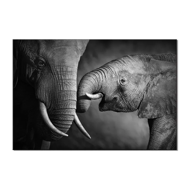 Elephant Animal Painting Wall Art Canvas Painting Art Poster Wall Pictures for Living Room Decoration Picture Art Print Wall