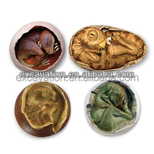 <span class=keywords><strong>Jouet</strong></span> en plastique intelligent 3D d'apprentissage de l'astronomie, Excavation d'œuf de dinosaure fossile pour garçon de 6 ans, cadeaux d'<span class=keywords><strong>anniversaire</strong></span>, offre spéciale - Product Image 5