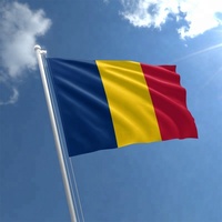 Drapeau personnalisé en polyester, offre spéciale