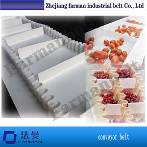Pürüzlü Yüzey PVC Skid Konveyör bantlar Için Paketleme Makinesi - Product Image 4