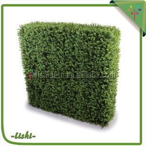 Fabricant de haute qualité <span class=keywords><strong>pas</strong></span> <span class=keywords><strong>cher</strong></span> vente directe vente en plein air artificielle <span class=keywords><strong>buis</strong></span> - Product Image 2