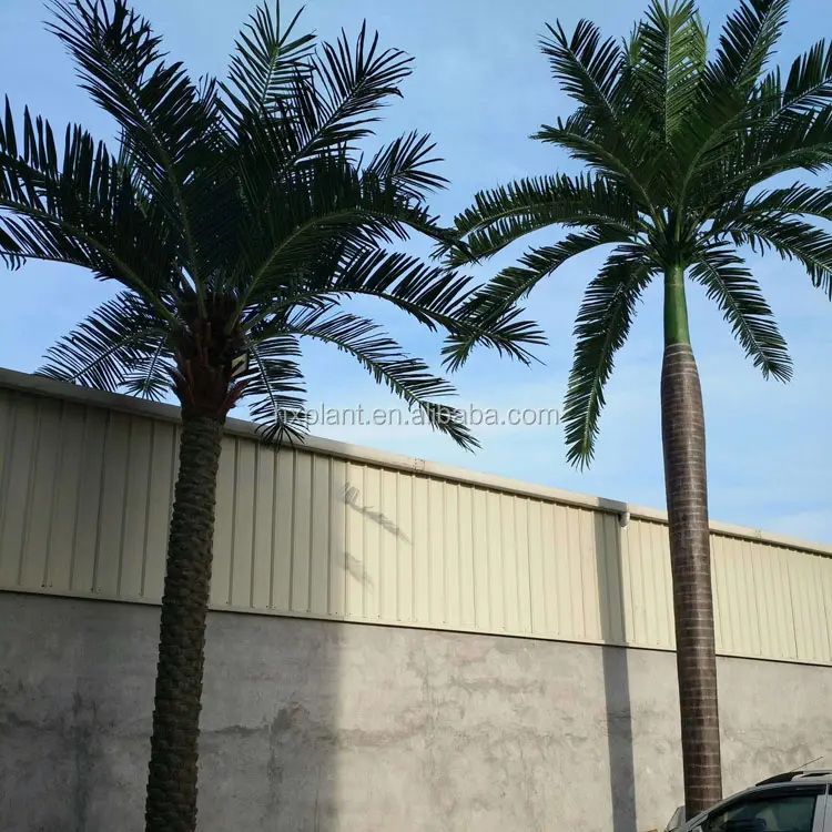 Sempreverde Tropical mega Trees artificiale cocco King Palm alberi decorativi per giardino