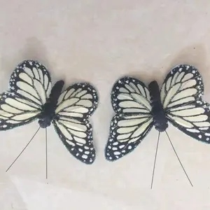 Kleine Hoefslag Veer Vlinder