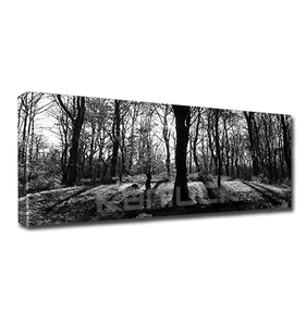 Tranh In Ảnh Phong Cảnh Rừng Trên Vải Bạt - Product Image 2