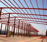 Prefabricated Steel Structure building commercial chicken houses/poultry house
