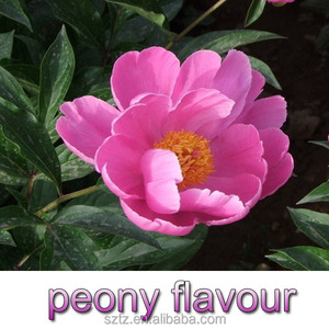 2016 venta caliente diario fragancia sabor peonía HALAL - Product Image 2