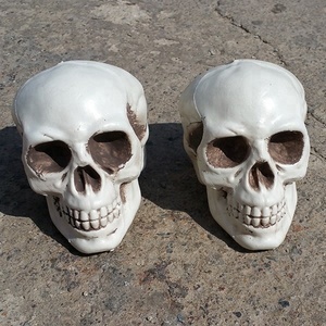 Cabeza de esqueleto humano para Halloween, esqueleto aterrador, cabeza de plástico, esqueleto de Halloween - Product Image 4