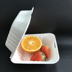 Hộp Có Thể Phân Hủy Màu Trắng 9 Inch Hộp Cơm Mía Bộ Đồ Ăn Dùng Một Lần Giấy Phân Hủy Sinh Học - Product Image 2