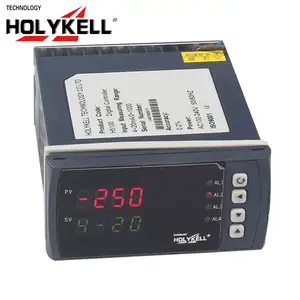 Holykell OEM-controlador de temperatura pid, registrador de datos de temperatura de un solo uso