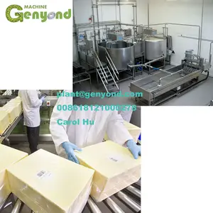 Factory Cheap Price Firm Cheese Making Machine