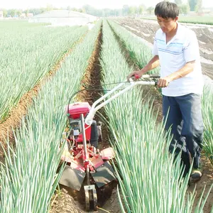 LUKE 6.5HP-15HP 多功能狭窄土地二手手推农业迷你柴油转轮器价格表在印度