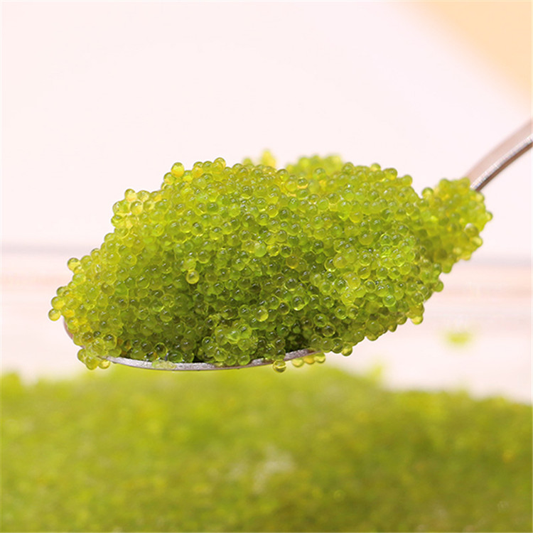 Икра летающей рыбы (Tobiko) с 5 различными цветами Tobiko Roe по хорошей цене