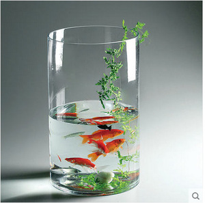 Jarrón <span class=keywords><strong>de</strong></span> <span class=keywords><strong>Vidrio</strong></span> Cilíndrico Simple y Económico para Decoración <span class=keywords><strong>de</strong></span> Bodas en Casa - Product Image 3